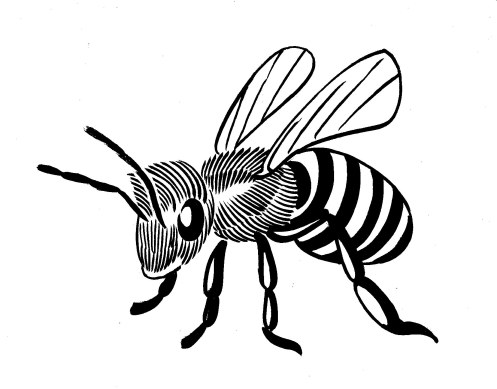 Bee